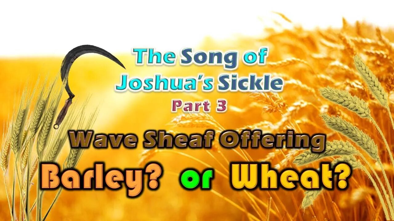 2.19 Song of Joshua's Sickle Pt 3 94 TA