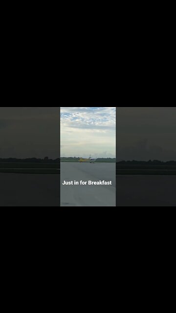 Coming for Breakfast.