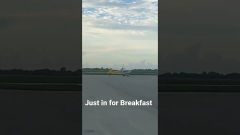 Coming for Breakfast.