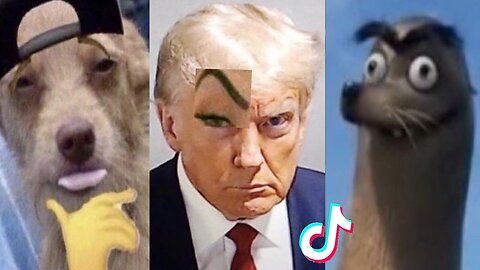 FUNNY 😁& HILARIOUS 😂 LATEST MEMES CAT🦁 DOG 🐶