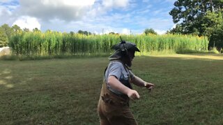 Something Unexpected Mowing Sunn Hemp