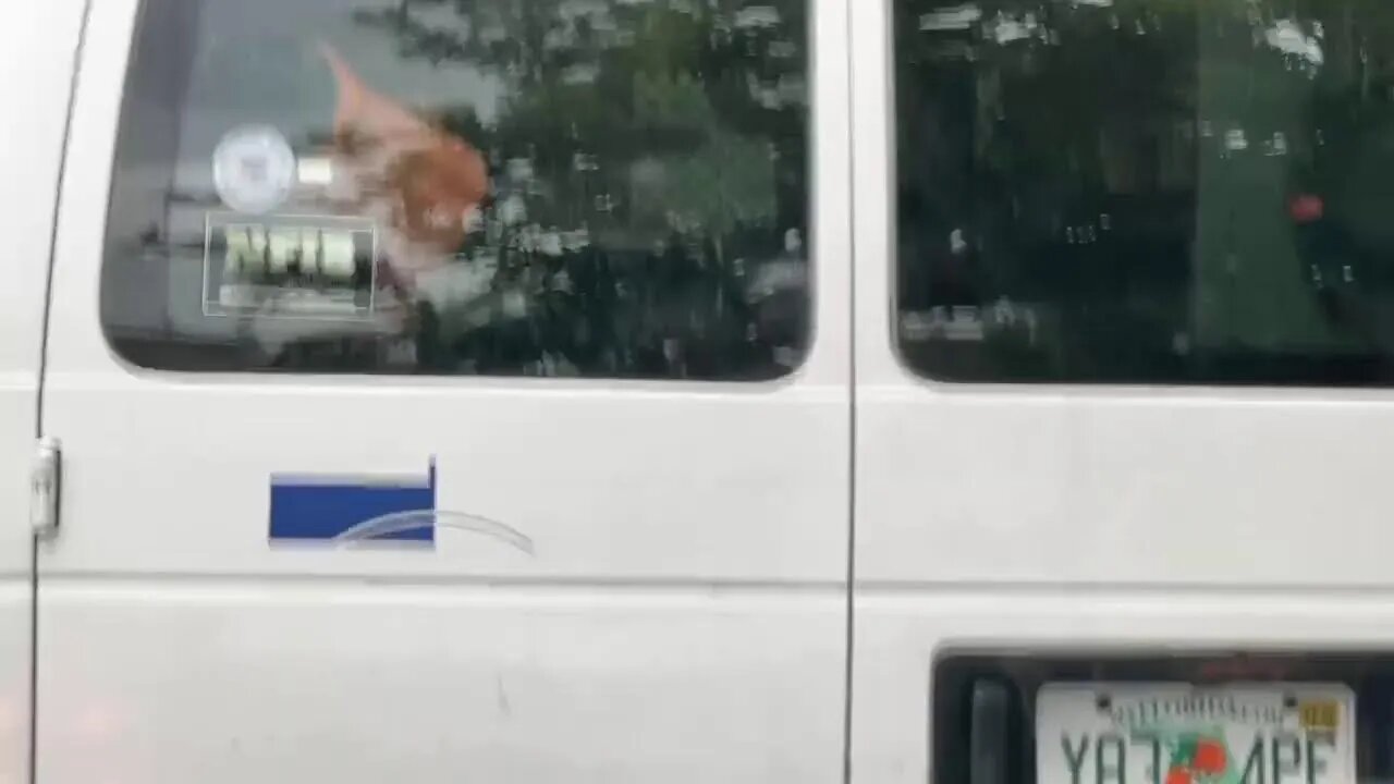 The Republic’s Individual