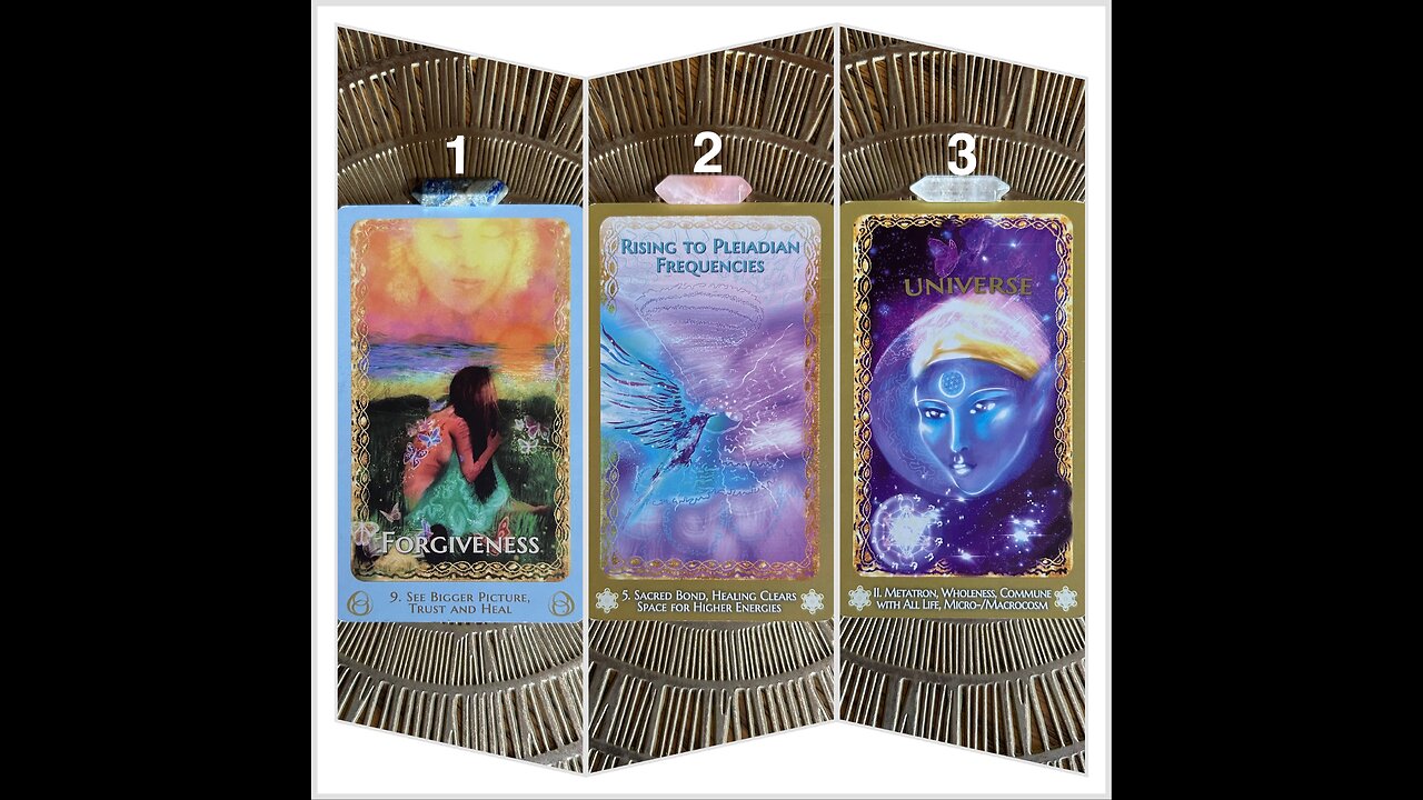 Animal Spirit Guide Guidance 🐝 Pick A Pile Reading