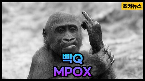 슬슬 군불 때는 엠폭스 MPOX