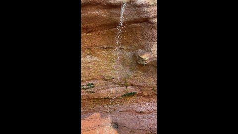 Maslow’s Hierarchy