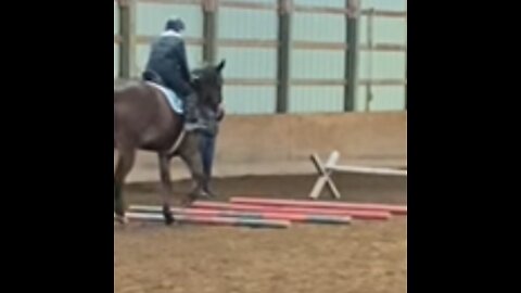 That’s my boy-Horses#horsejumping