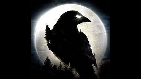 NIGHT CROWS