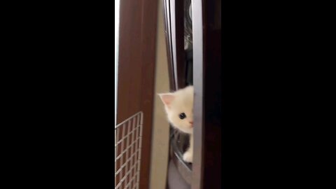 i am angry now dont toch me please