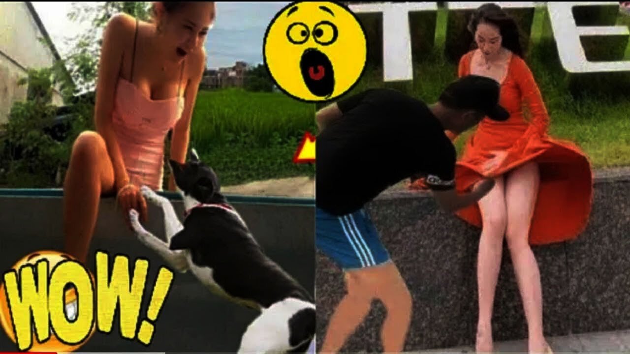CUTE ANIMALS BABY VIDEOS | BABY ANIMALS VIDEO IN HD