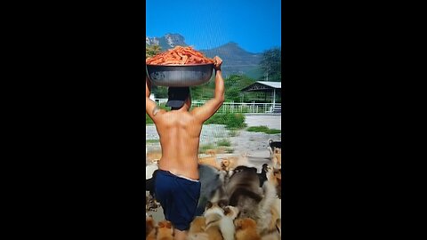 Filling The Dogs UP!