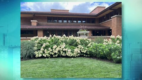 Treat Mom ahead of Mother's Day with a visit to Frank Lloyd Wright’s Martin House - Part 3