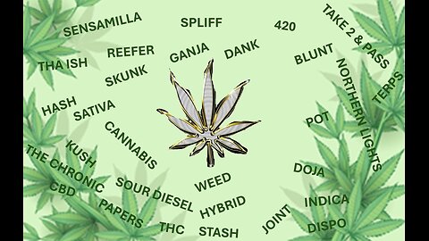 Saturday night Kush 10AUG2024