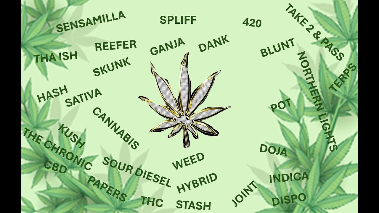 Saturday night Kush 10AUG2024