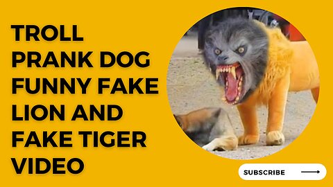 Troll Prank Dog Funny & Fake Tiger and Fake Lion Pranks To Dog. Funny Compilation