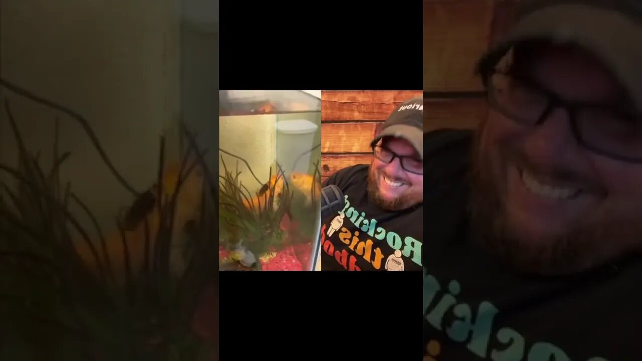 Here’s Your Dose Of REALarious…🤣🤣🤣 with @omgitswicks