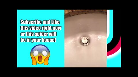 Try Not To Laugh If You DIY You LOSE Challenge People Doing Stupid Things