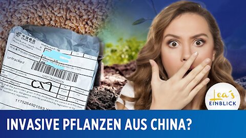 Mysteriöse Päckchen aus China: Ein biologischer Angriff?