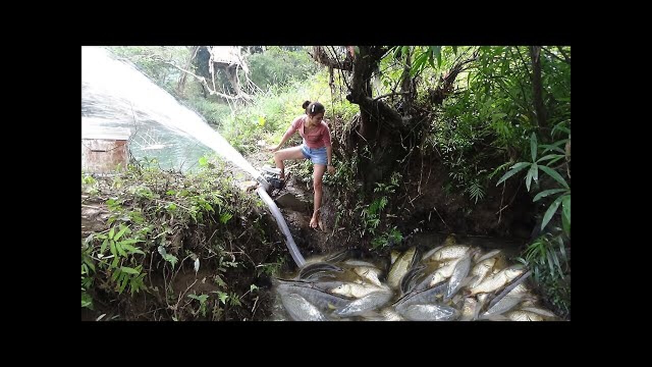 Catch fish | Catching wild fish | Use the pump to suck the water in the lake and catch a lot of fish