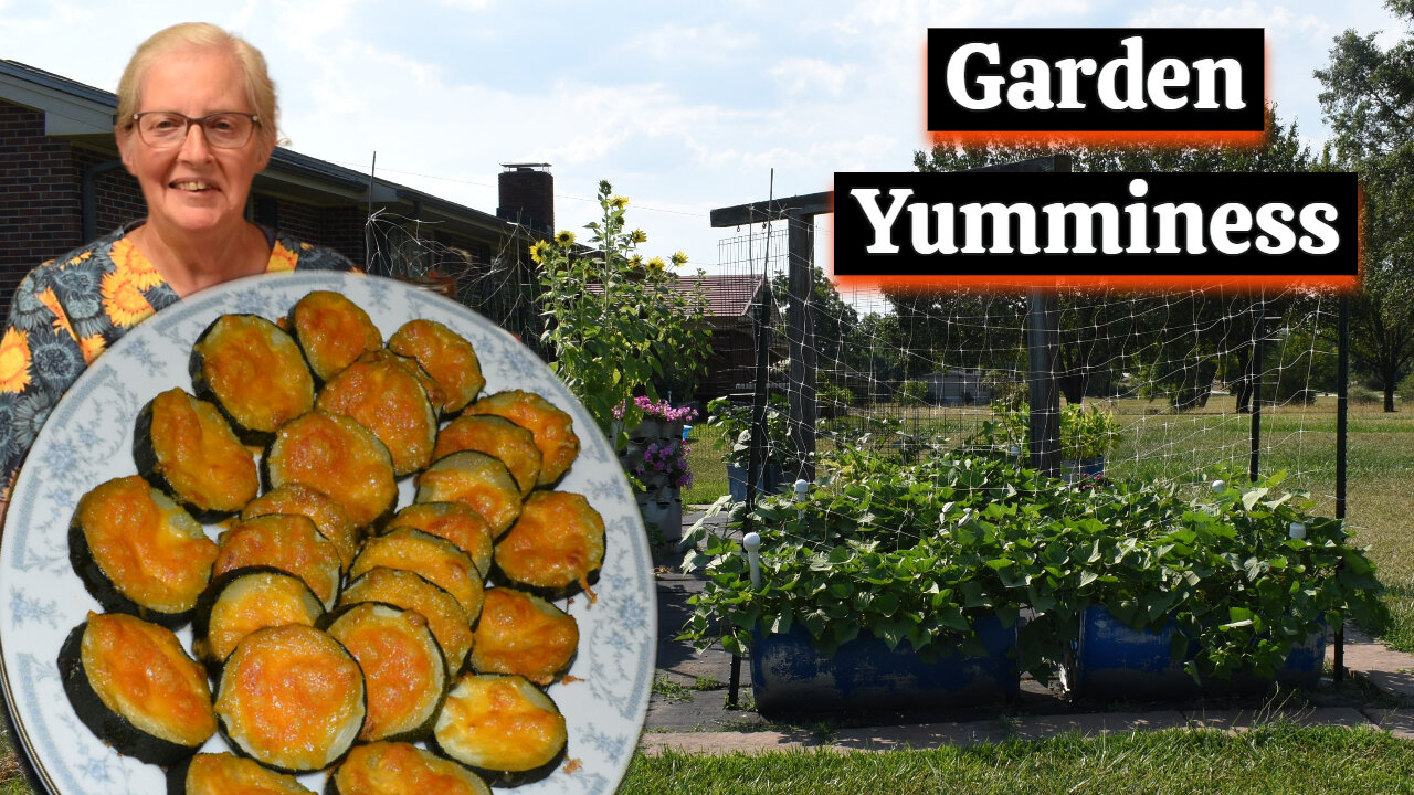 Easy & Delicious Roasted Squash Rounds - A Must-try! Container Gardening, Inspirational Thought