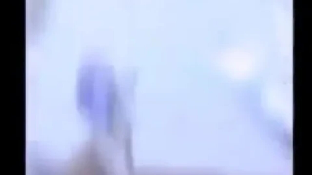 GMO
