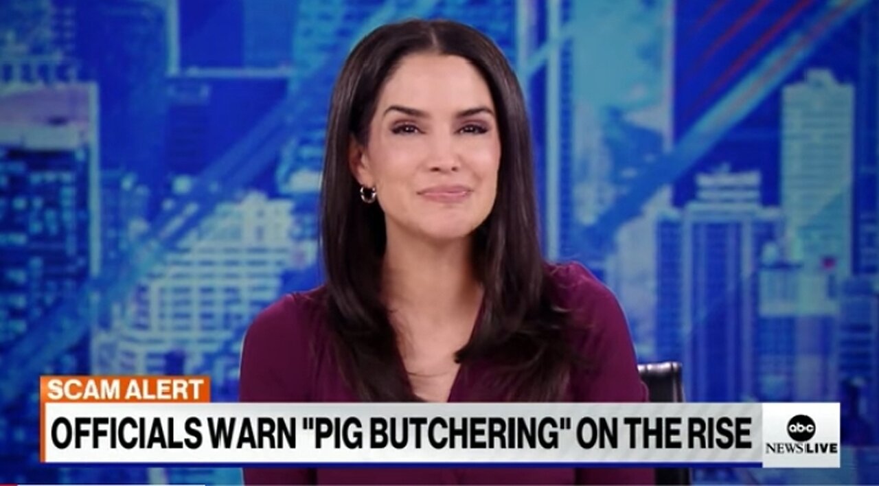 Dozens of web domains seided in ,pig butcherings, crypto scam