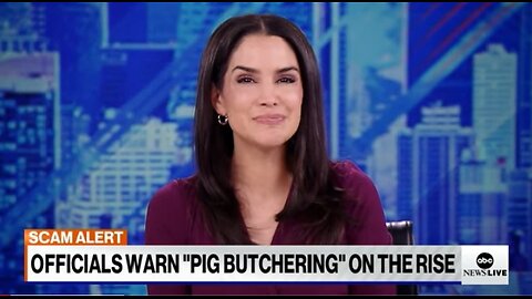 Dozens of web domains seided in ,pig butcherings, crypto scam