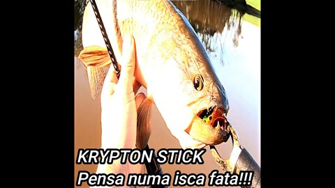 VOCÊ CONHECE ESSA ISCA? ACESSE NOSSO CANAL E DESCUBRA O PODER DA KRYPTON STICK!!!