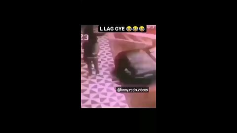 #funnyvideos