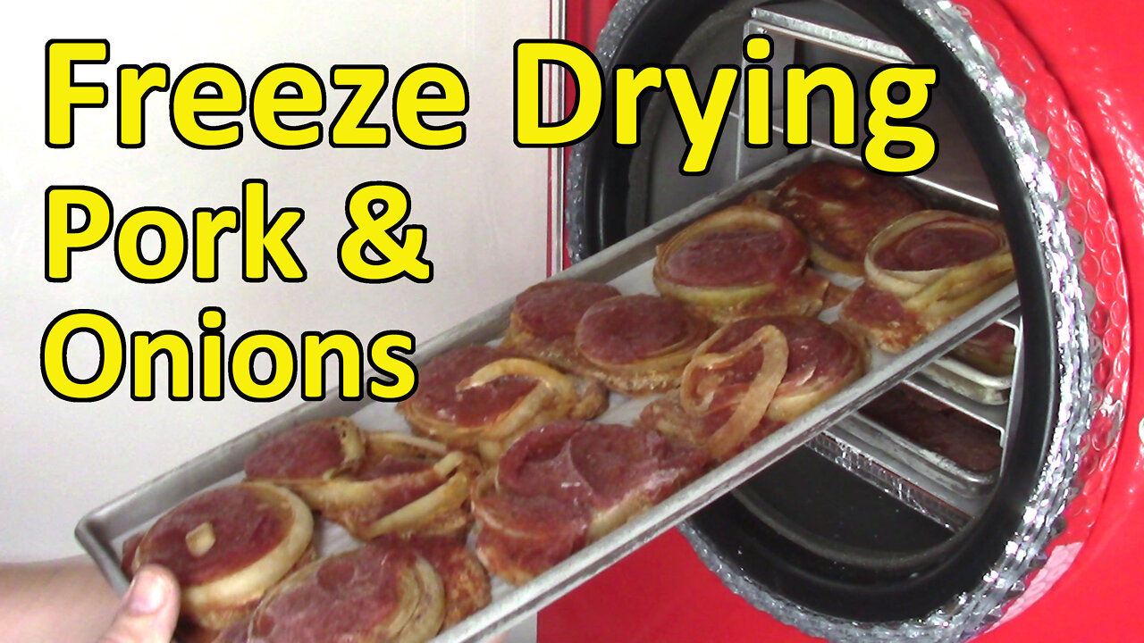 Freeze Drying Pork & Onions