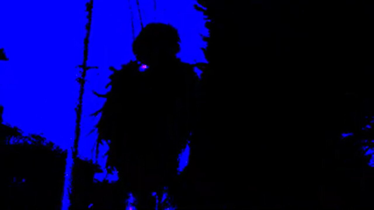 Beach House - The Hours