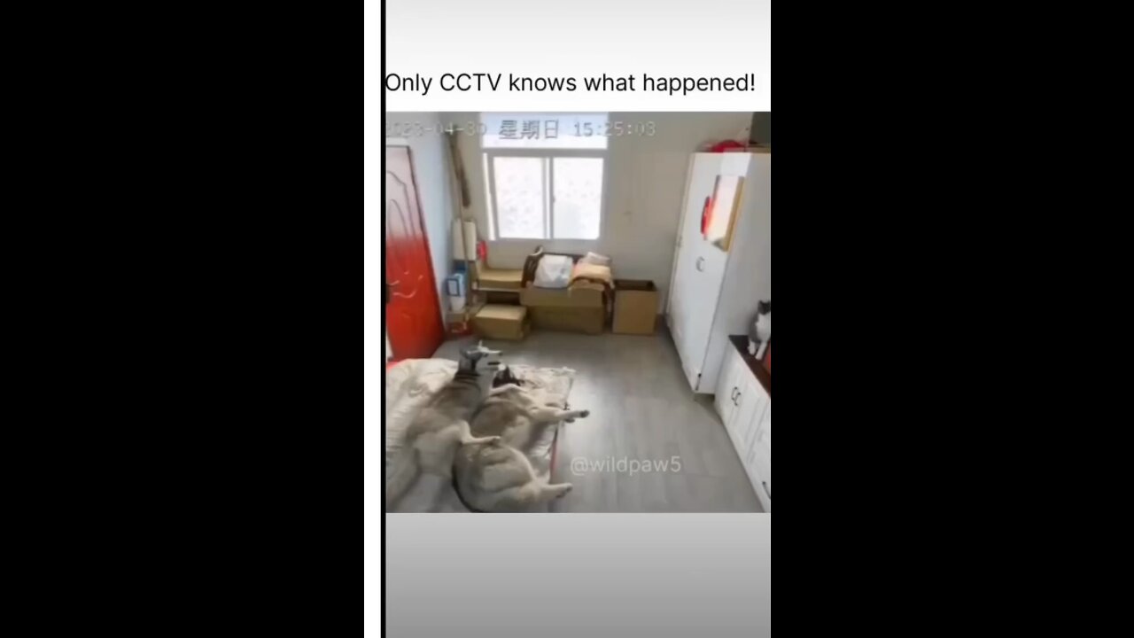 only cctv knows what just happened 😂🤣