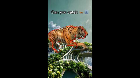 Catch the tiger