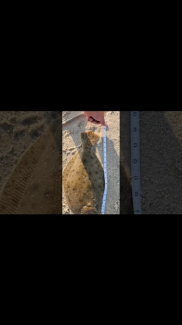 Please be Legal Size!!!