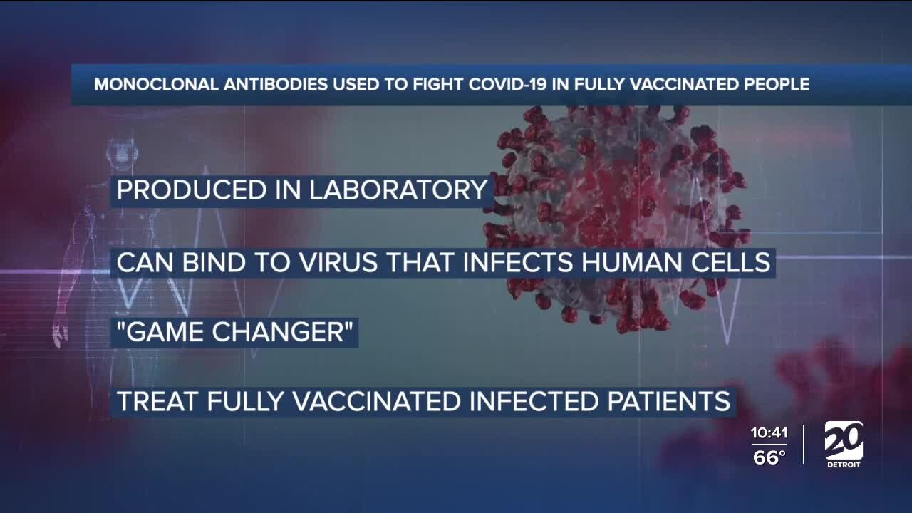 Using monoclonal antibodies to treat fully-vaccinated COVID-19 patients