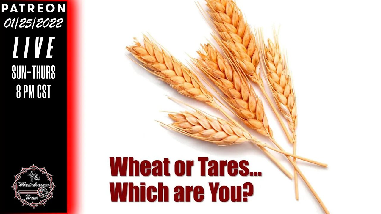 The Watchman News - Prepping Channel Discernment - Which Channels Are Wheat And Which Are The Tares?