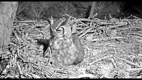 Second Evening Break 🦉 2/22/22 19:45