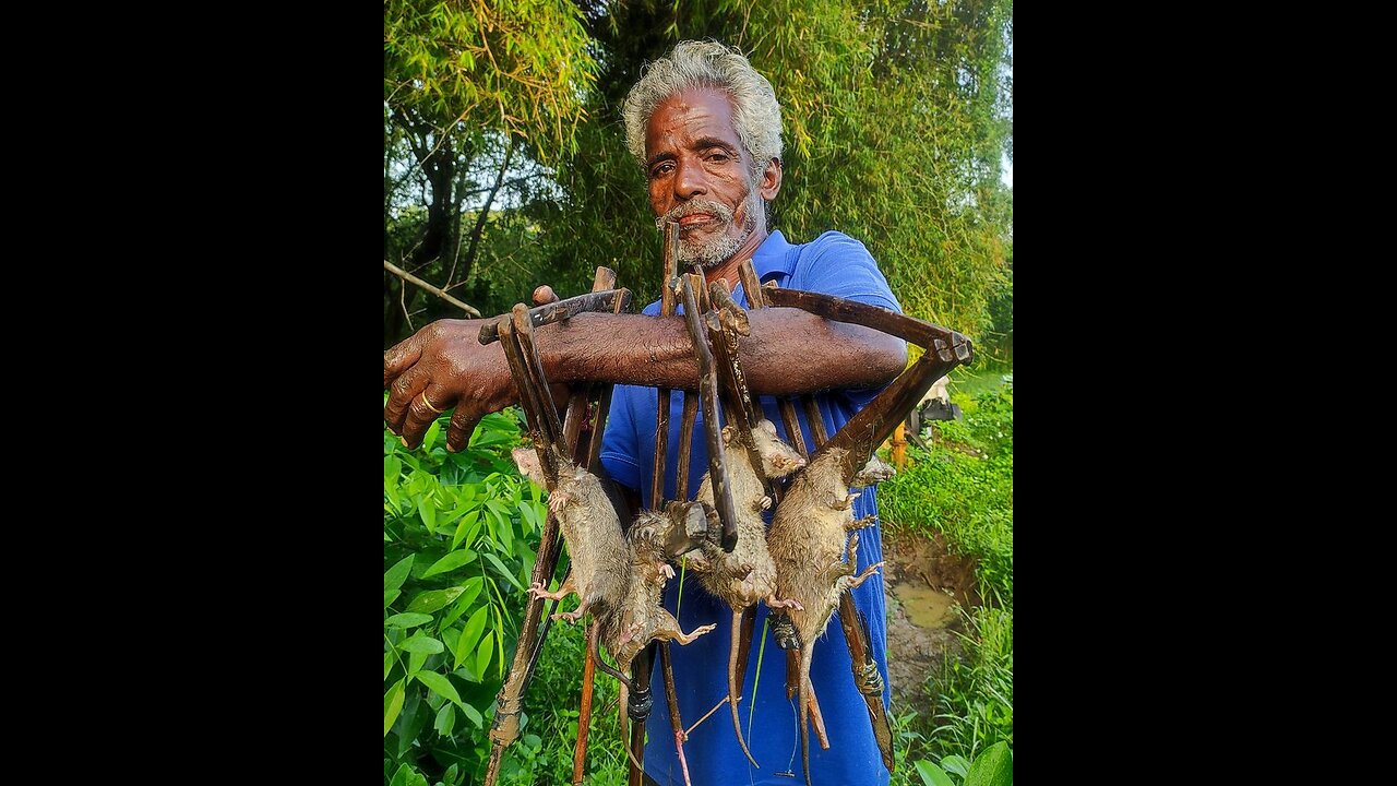 Old and Traditional Mouse Trap Tools - Amazing Mouse Trap Tool