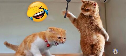 Funniest Animals 2023 😂 Funny Cats and Dogs 🐱🐶 Funny Animal Videos 2023