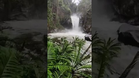 Poço das Antas, Iúna ES - Olha o espetáculo da natureza🌳 Preserve a natureza📷