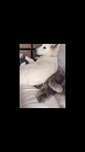 We still don't wake up.....