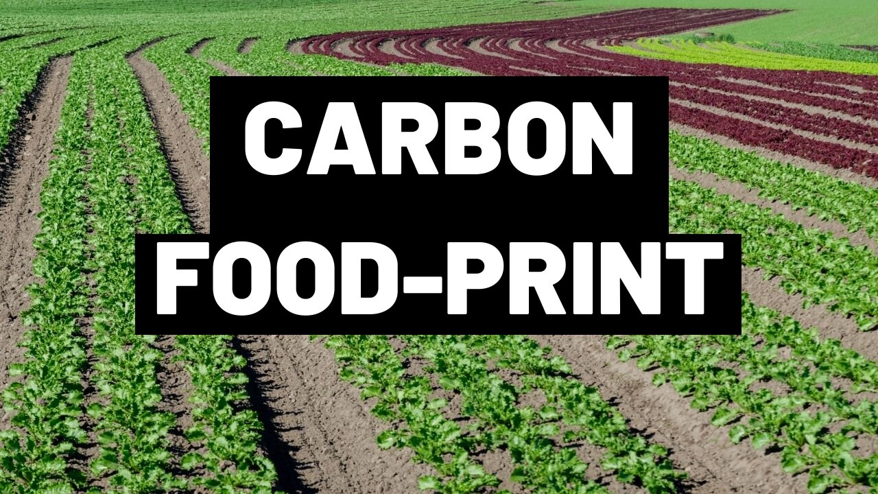 Carbon Food Print | How the food we eat is Impacting the Environment and Health