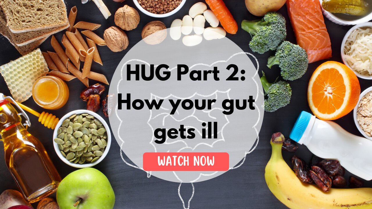 HUG Part 2: How your gut gets ill