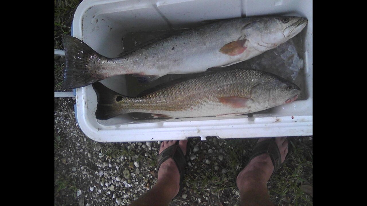 Catching Big Trout in The Surf - Gulf Of Mexico - Texas Beach Fishing