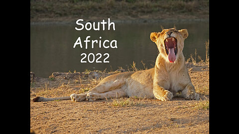 South Africa 2022