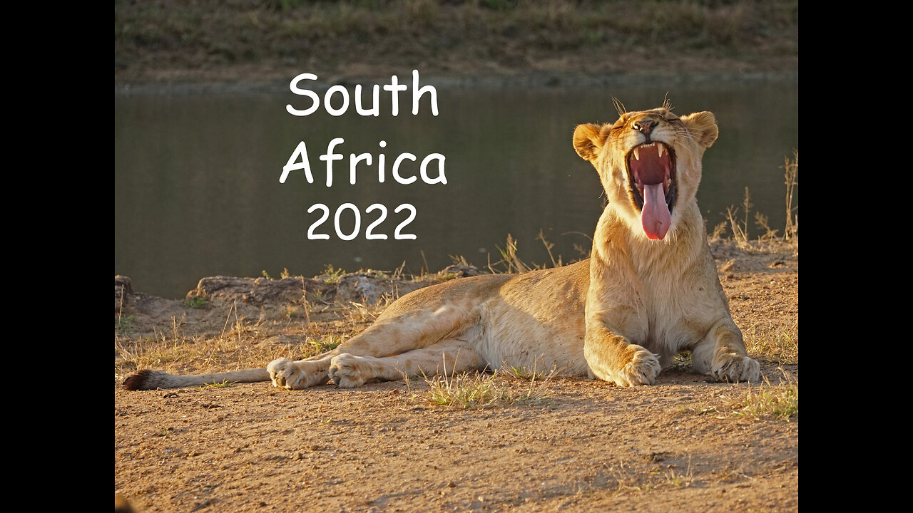 South Africa 2022