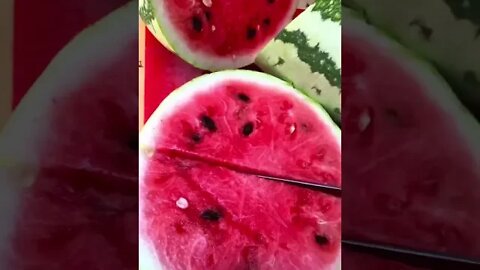 It’s Summertime, Got Watermelon? 😋🍉❤️ #shorts #viral #tiktok #garden #shortsfeed