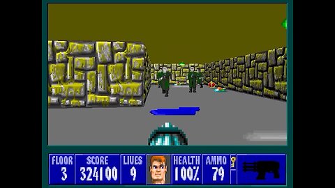 Wolfenstein 3D, DOS, 1992 - 100% Complete, Episode 2 Floor 3