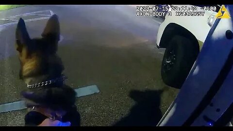 Bodycam arrest of a Child Predator