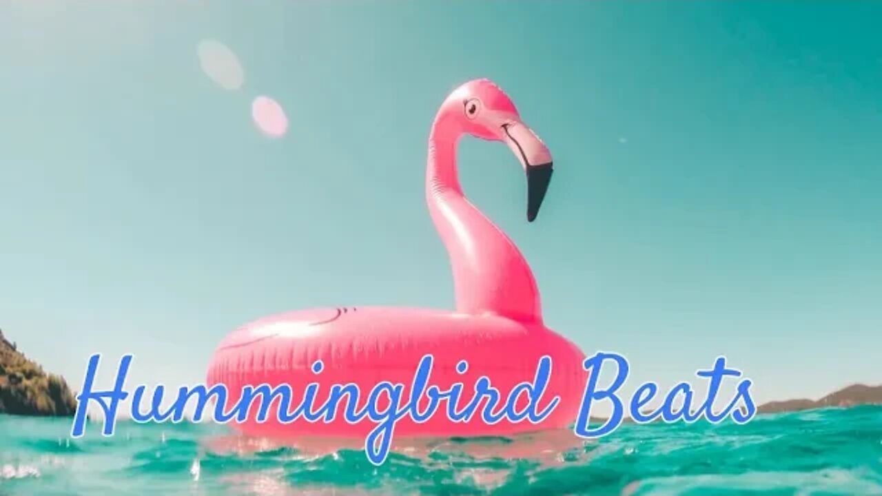 Summer by Bensound ( No Copyright Music)