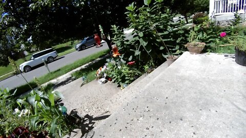 Wildlife And Nature Live Camera